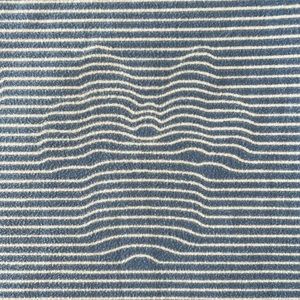 RARE *** Lularoe Hidden Minnie One Size